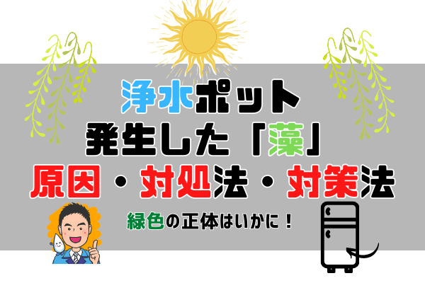 【知らなきゃ損】浄水ポットに発生した緑色の正体は「藻」、生える原因と対処法、そして予防法。