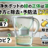 ブリタ・浄水ポットの緑の正体は藻？カビ？見分け方と除去・予防法【プロ解説】