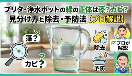 ブリタ・浄水ポットの緑の正体は藻？カビ？見分け方と除去・予防法【プロ解説】