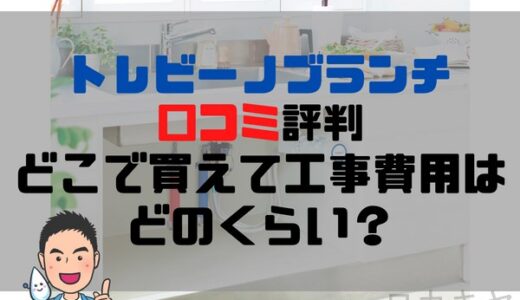 口コミで話題の東レトレビーノブランチ！浄水器ブロガーが販売店と工事費用の相場を徹底解説