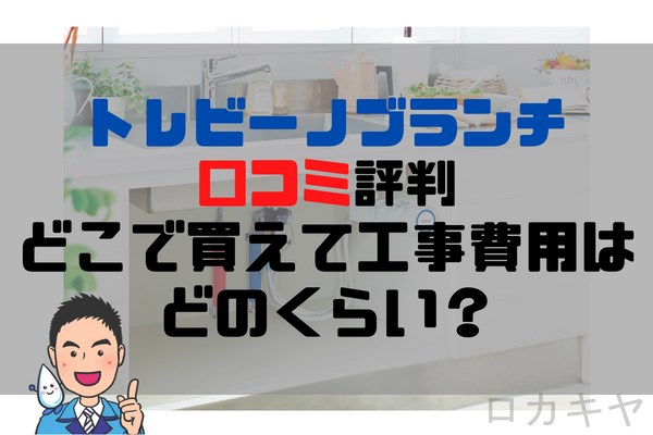 トレビーノブランチ口コミ評判どこで買えて工事費用はどのくらい？